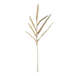 Plaster Botanical