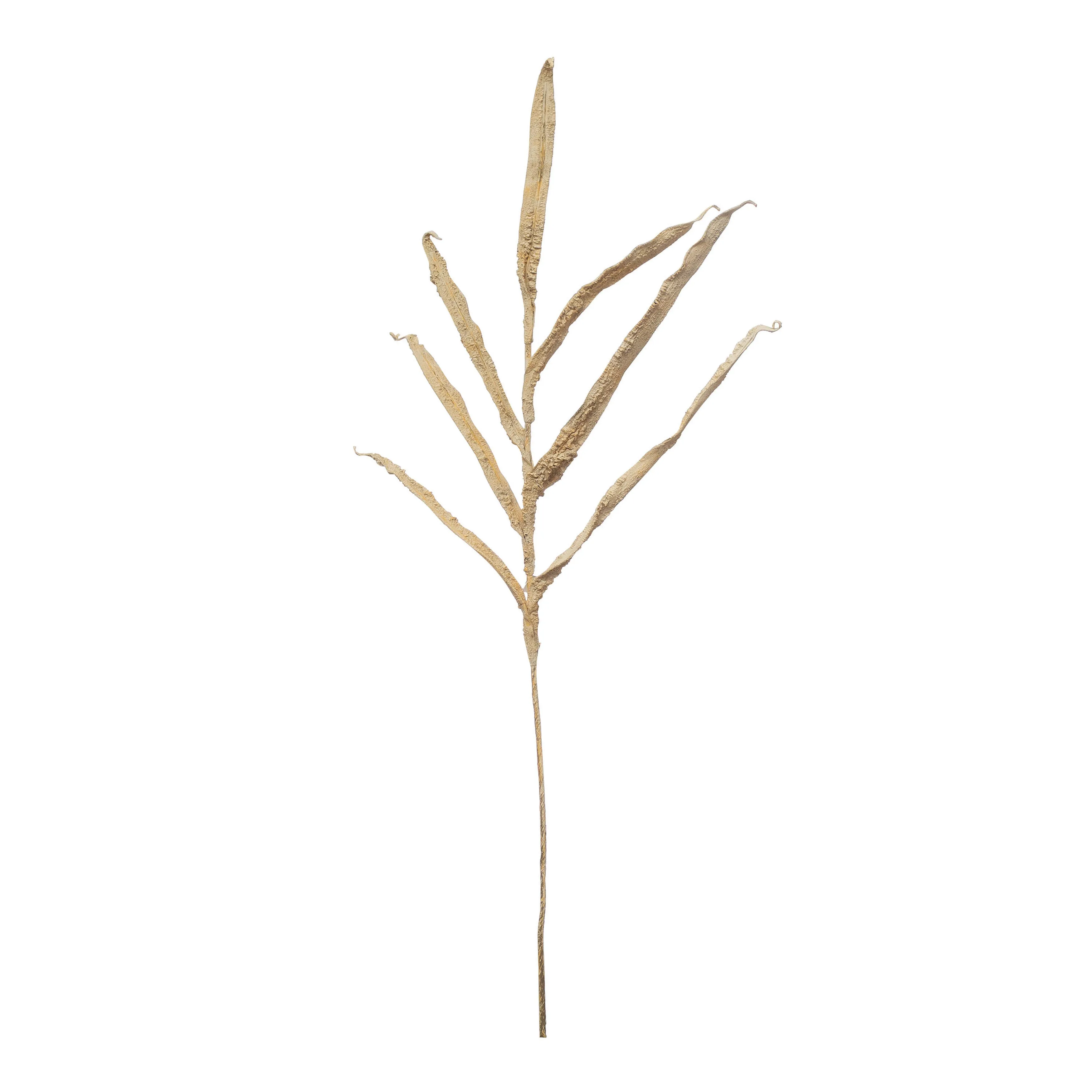 Plaster Botanical