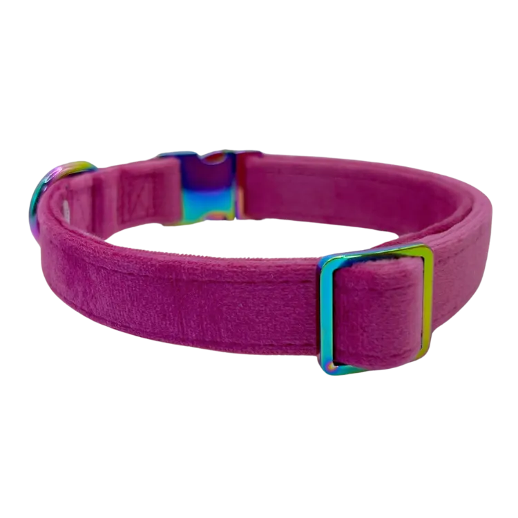 Plum Velvet- Dog Collar