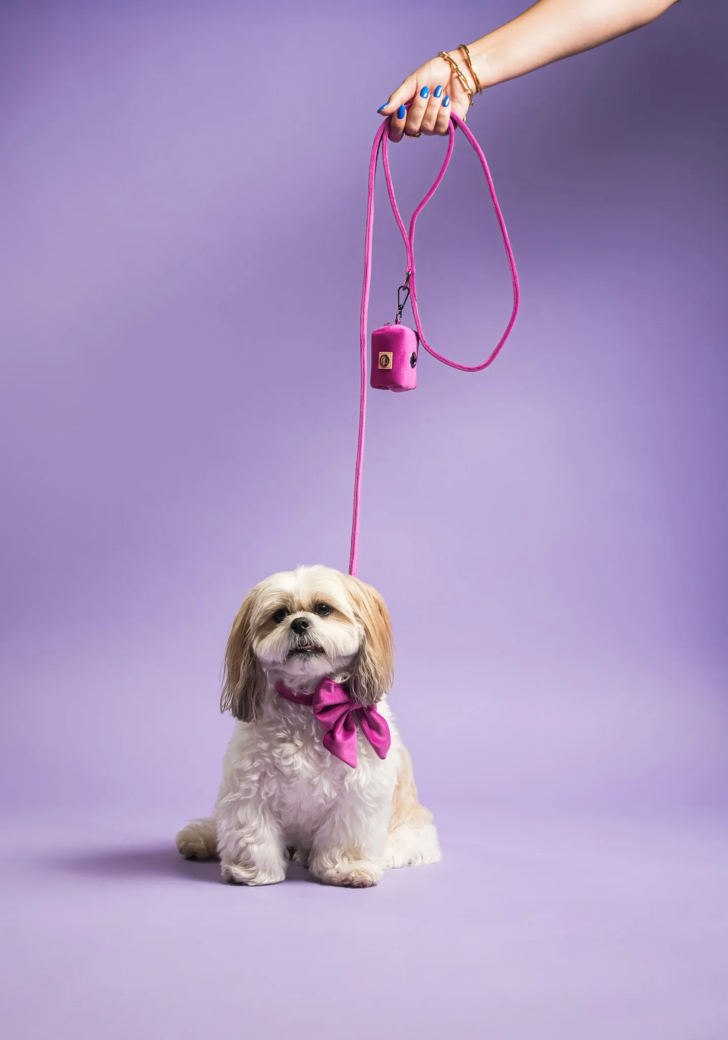 Plum Velvet- Dog Collar