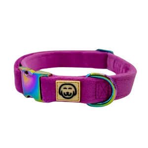 Plum Velvet- Dog Collar