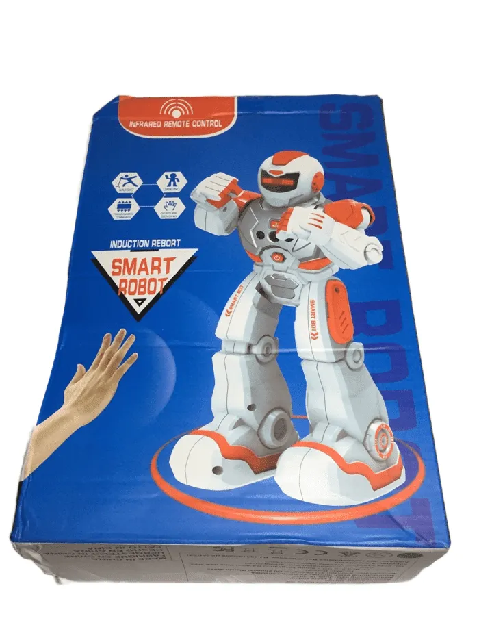 RC Smart Robot (015)