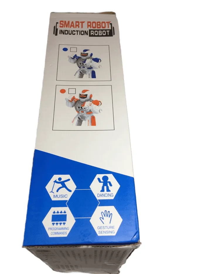 RC Smart Robot (015)