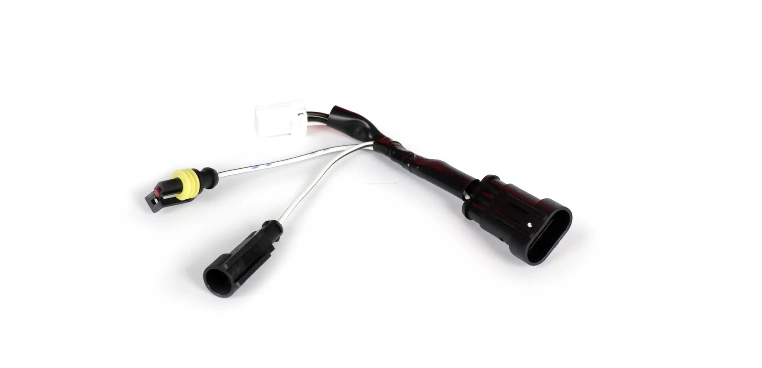 Rear Light including Frame MOTO NOSTRA Carbon Style | Vespa GTS 125-300cc