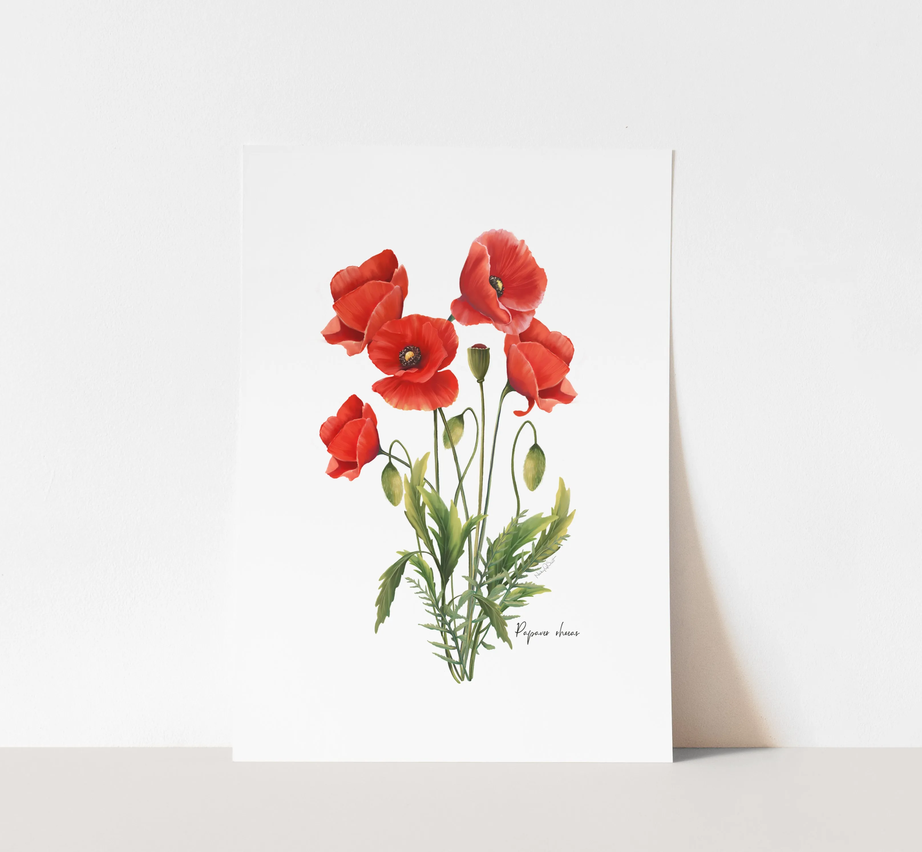 Red Poppies Flower Art Print