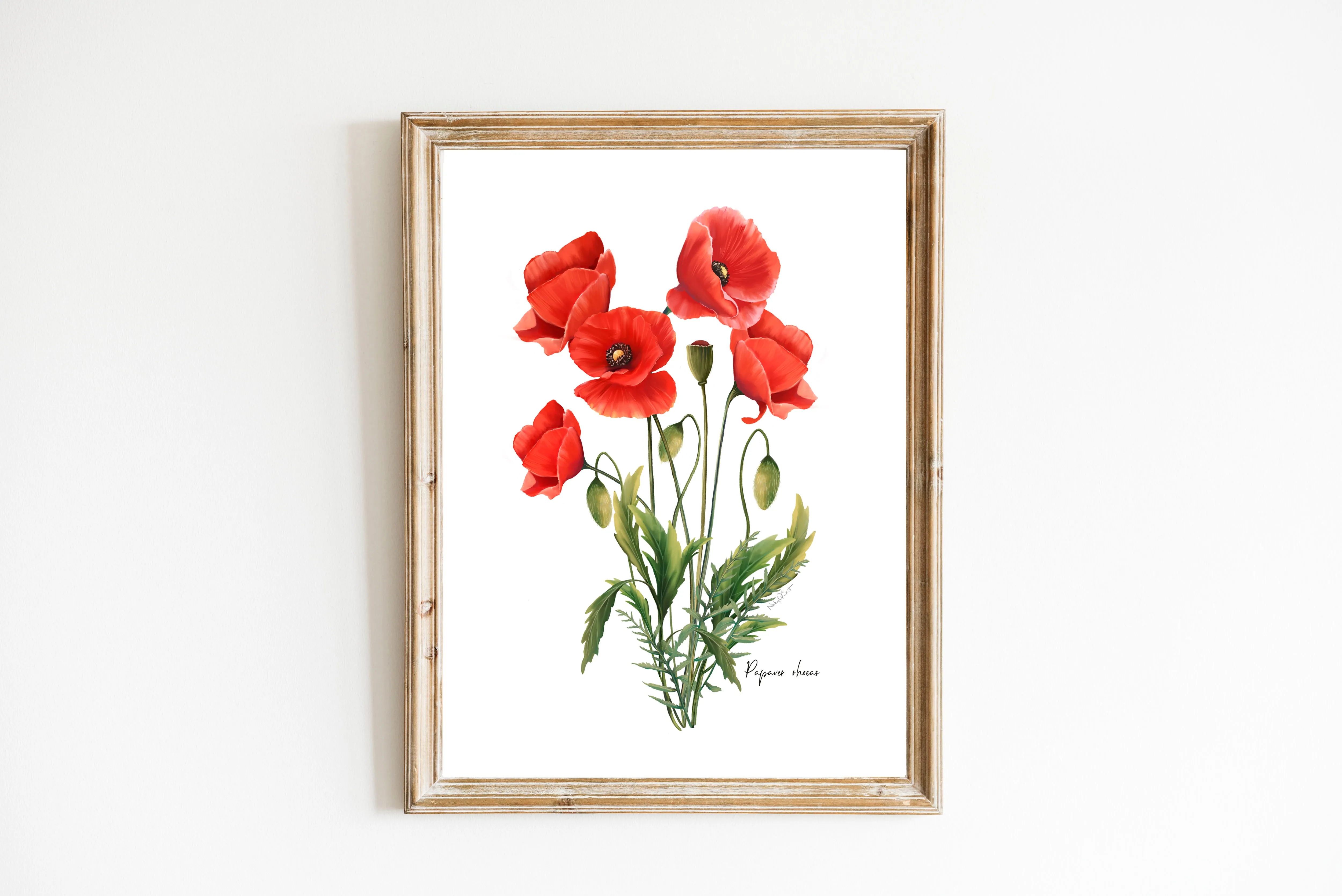 Red Poppies Flower Art Print