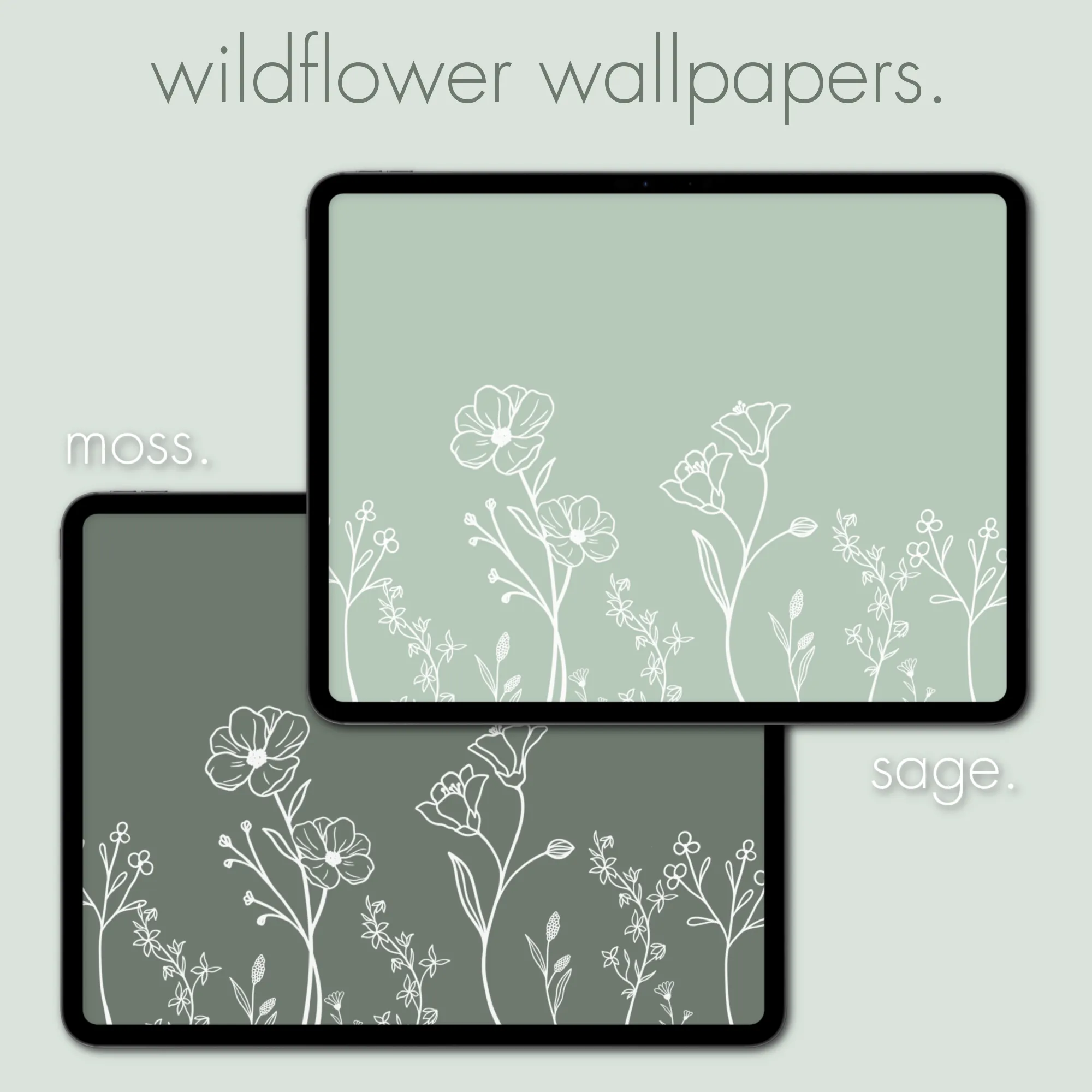 sage theme pack | ipad edition.