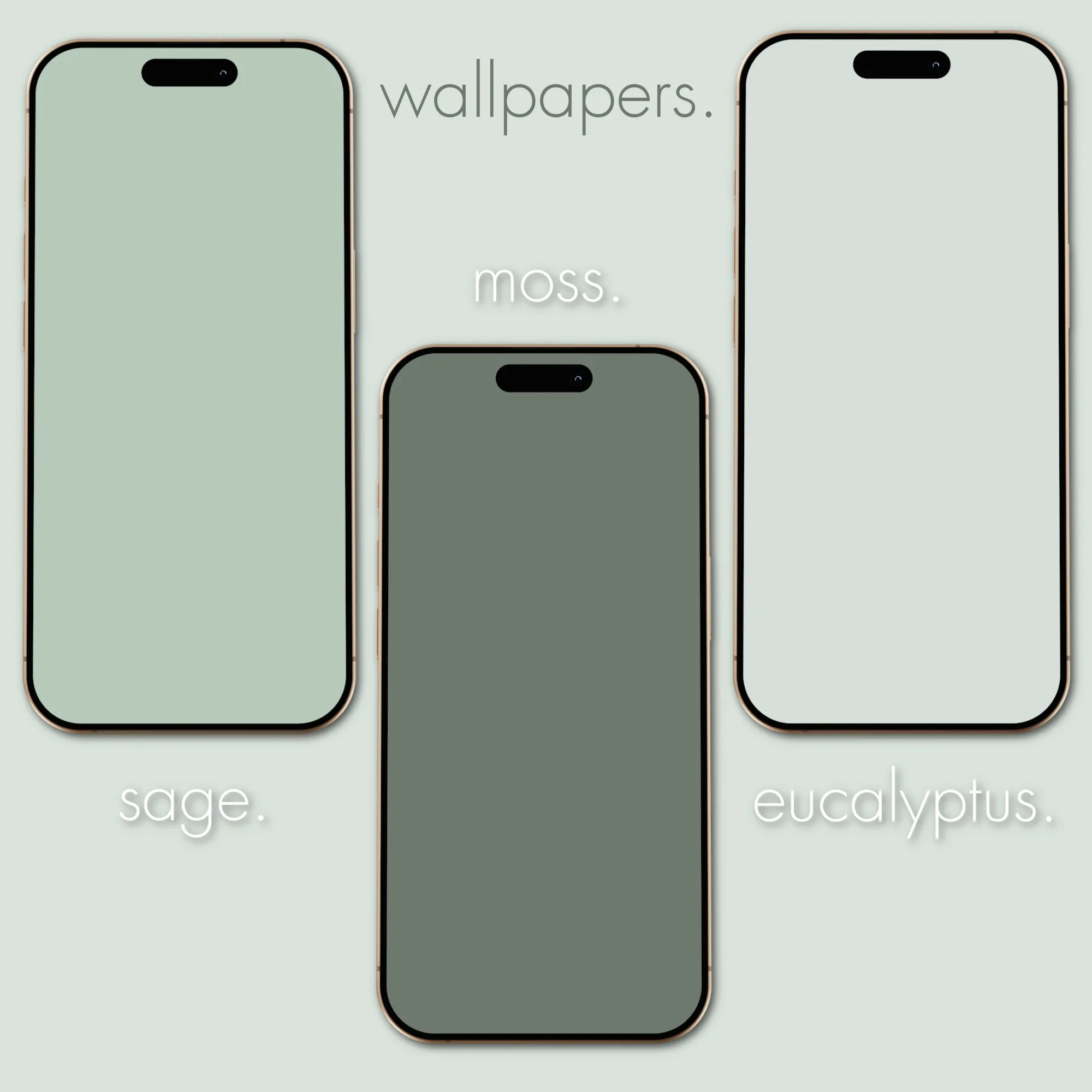 sage theme pack.