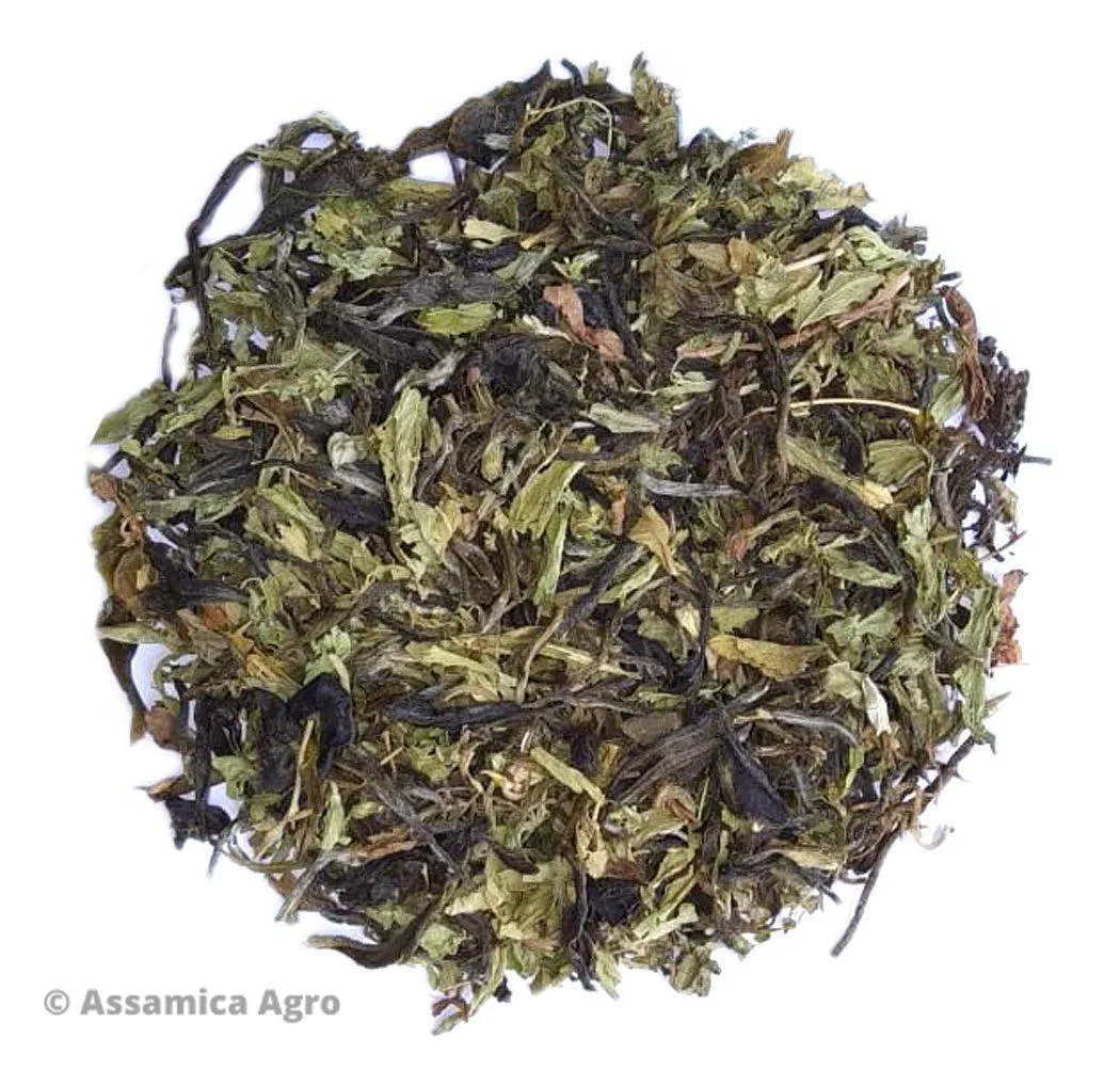 Salubrious Stevia Green Tea