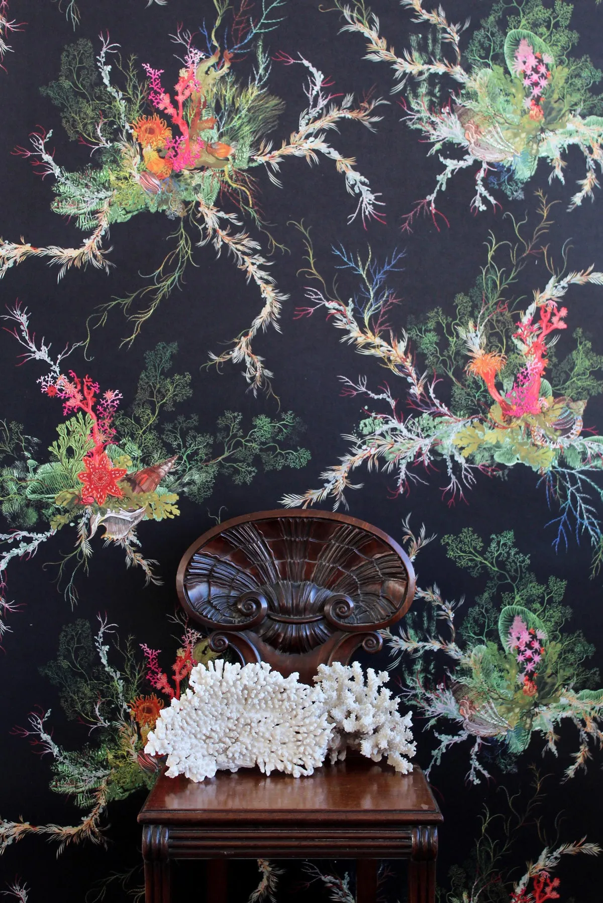 seaweed and shell wallpaper