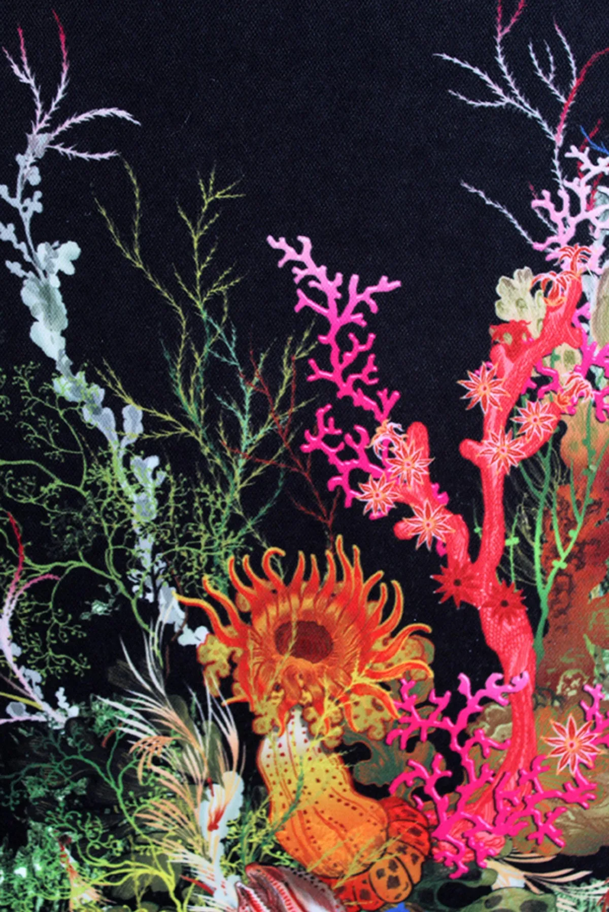 seaweed and shell wallpaper