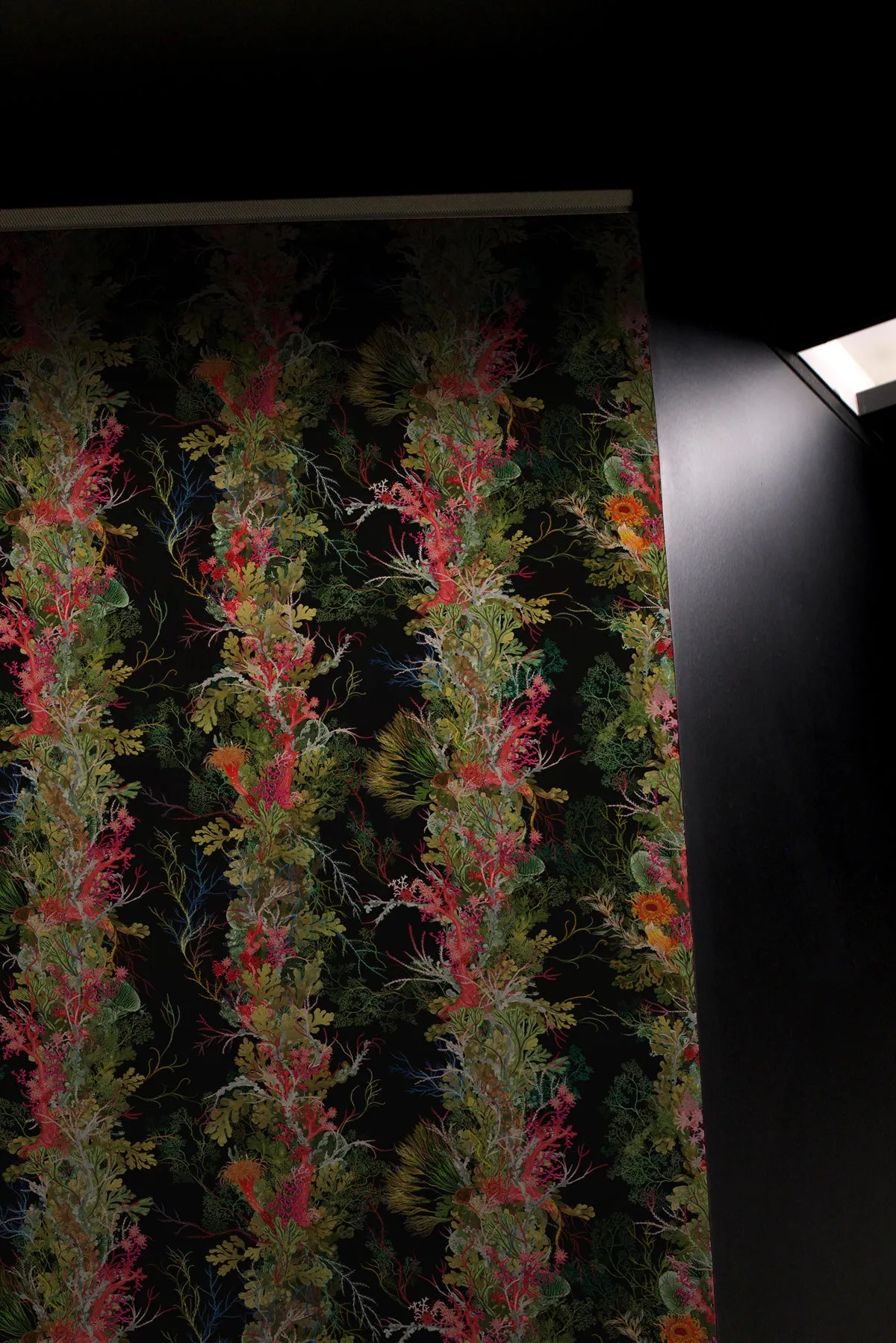 seaweed column wallpaper
