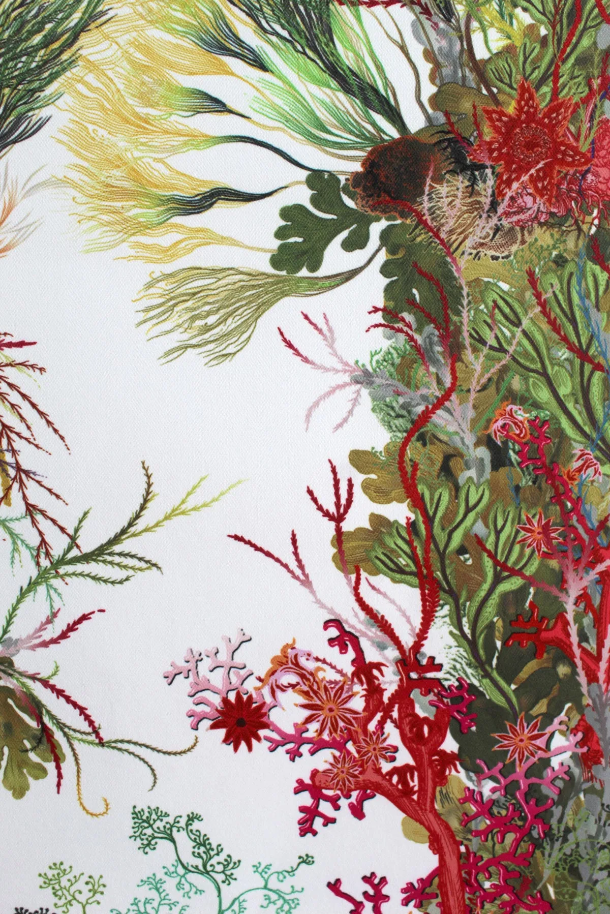 seaweed column wallpaper