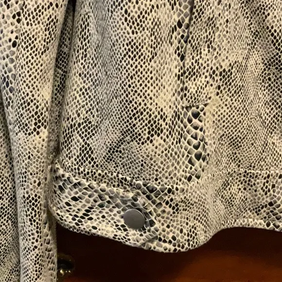 Skies Are Blue Snake Print Moto Jacket