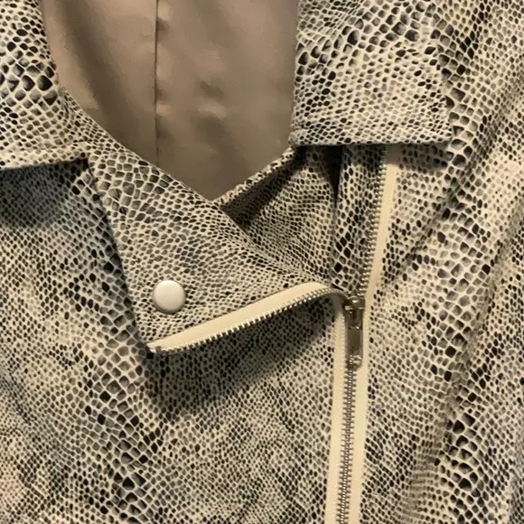 Skies Are Blue Snake Print Moto Jacket