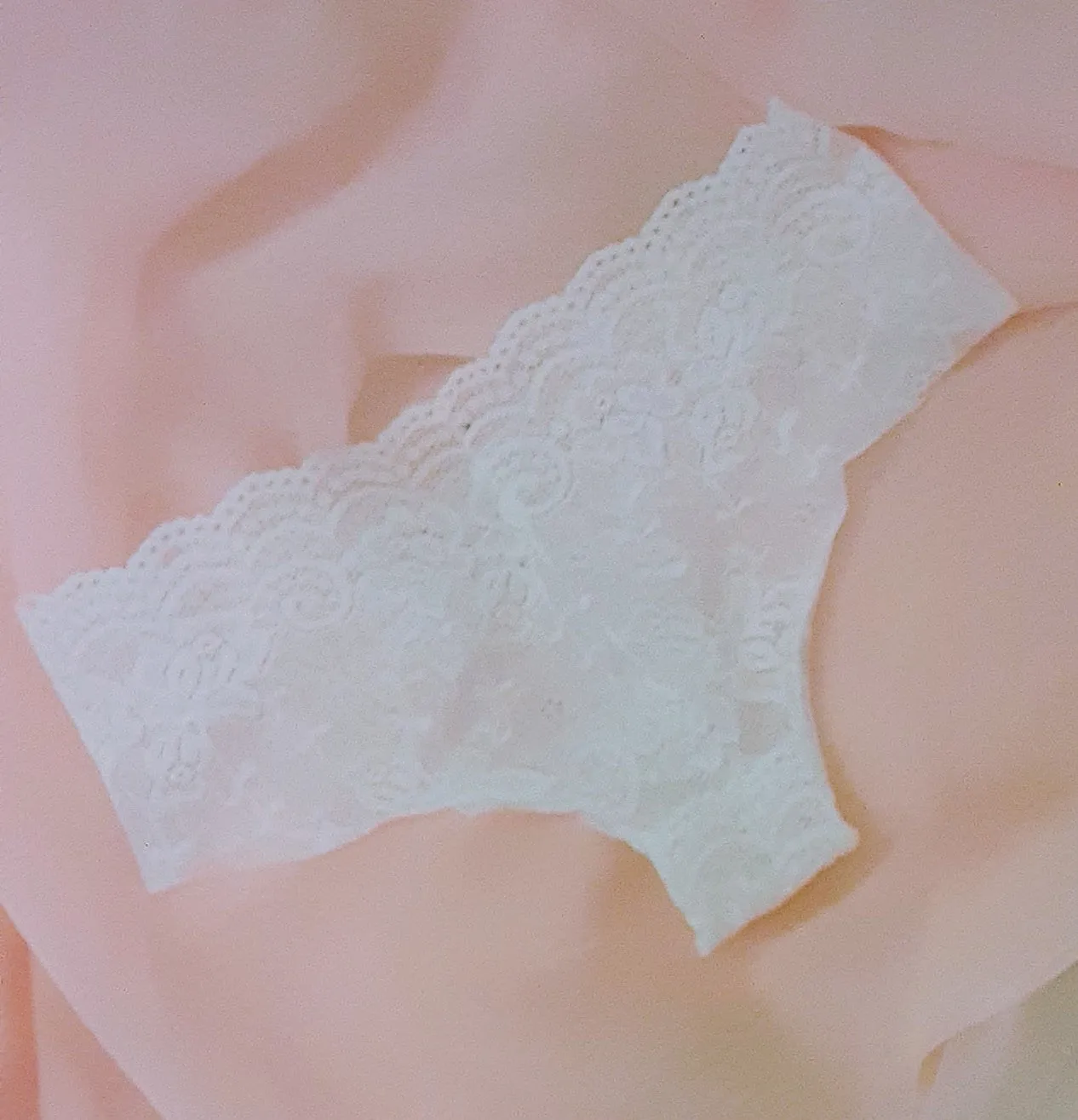 Slim Sexy Hipster Lace Brief , Couture made