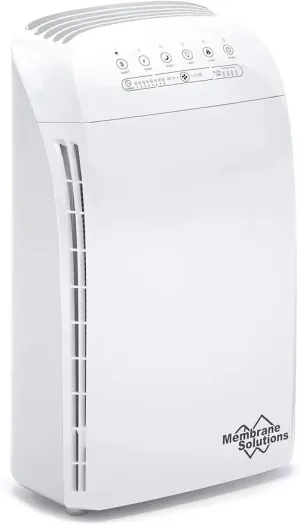 Smart Air Purifier