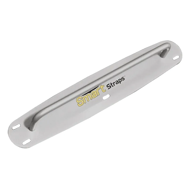 Smart Strap Ceiling/Wall Mount (Mount Only)