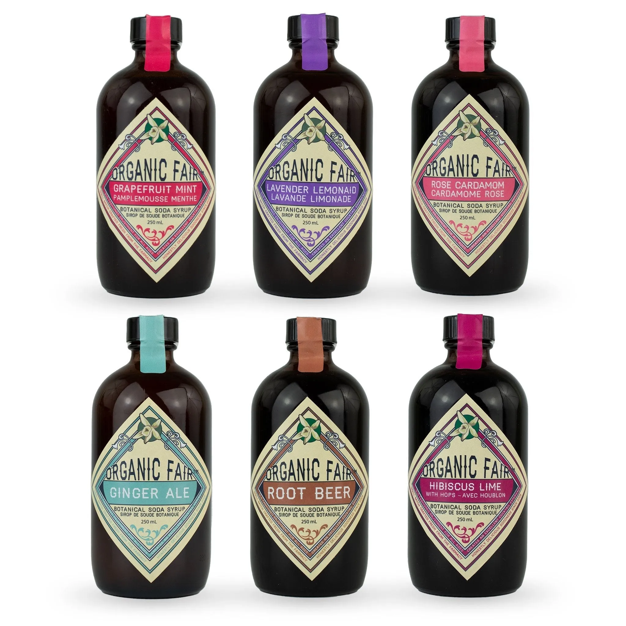Soda Syrup Set - Botanical Syrup Flavors