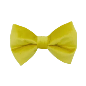 Sunshine Velvet - Dog Bowtie
