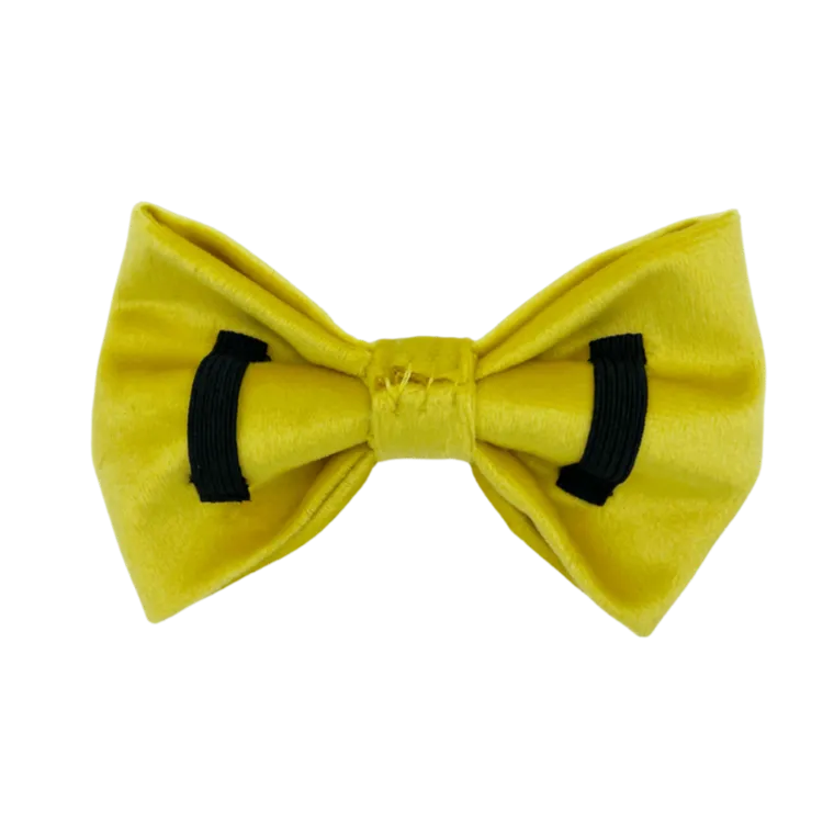 Sunshine Velvet - Dog Bowtie