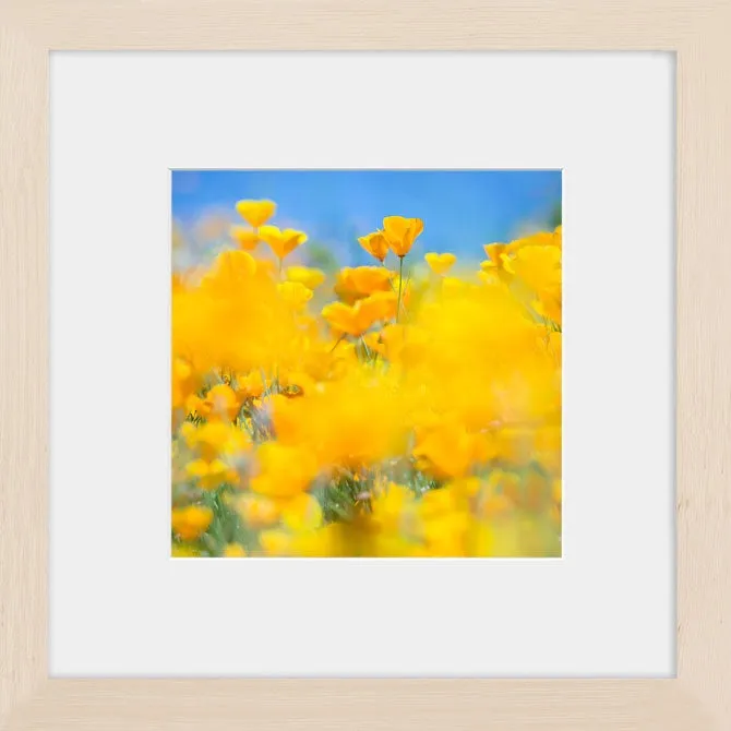 SUPERBLOOM