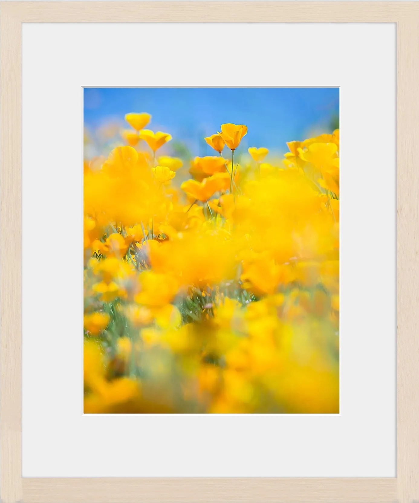 SUPERBLOOM