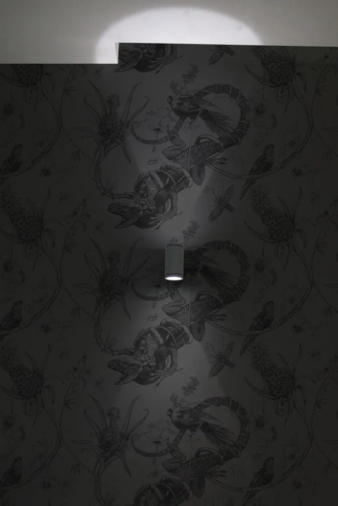 superwide iguana wallpaper