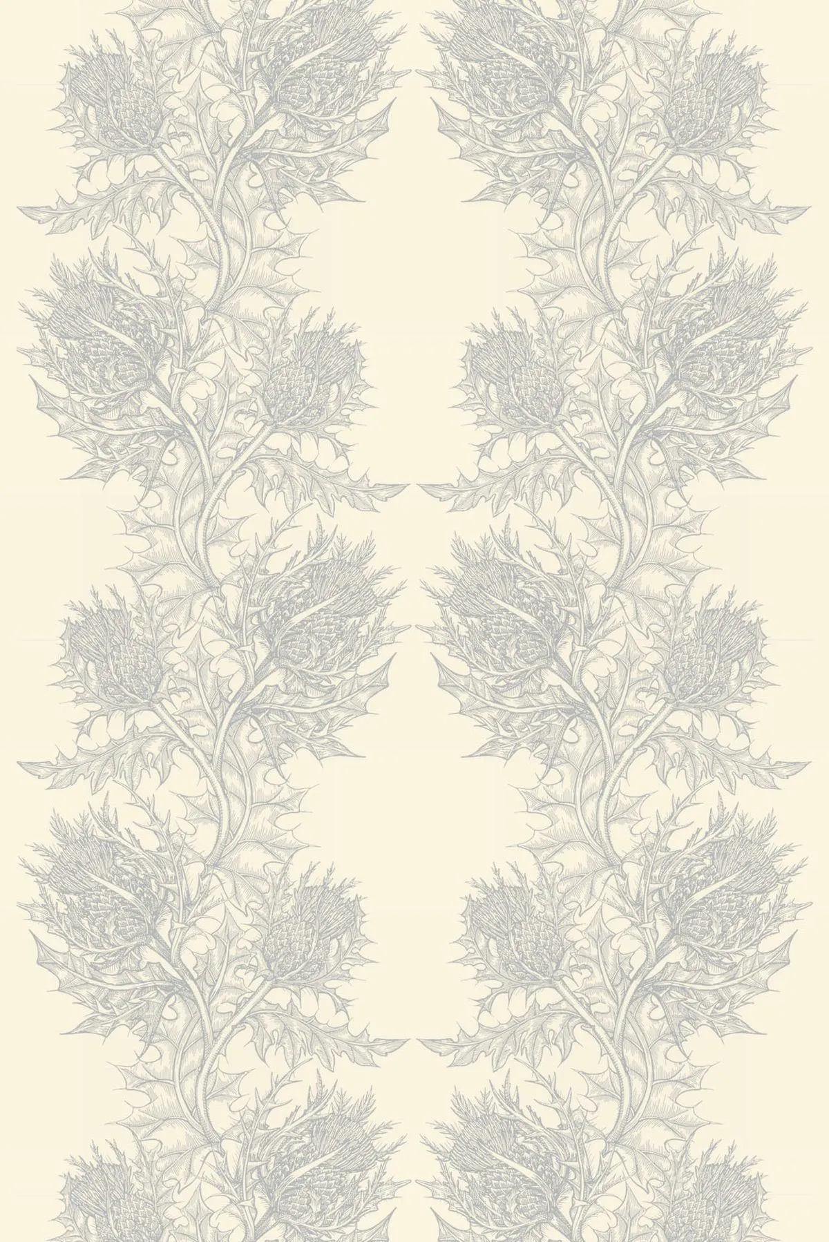 superwide thistle  wallpaper