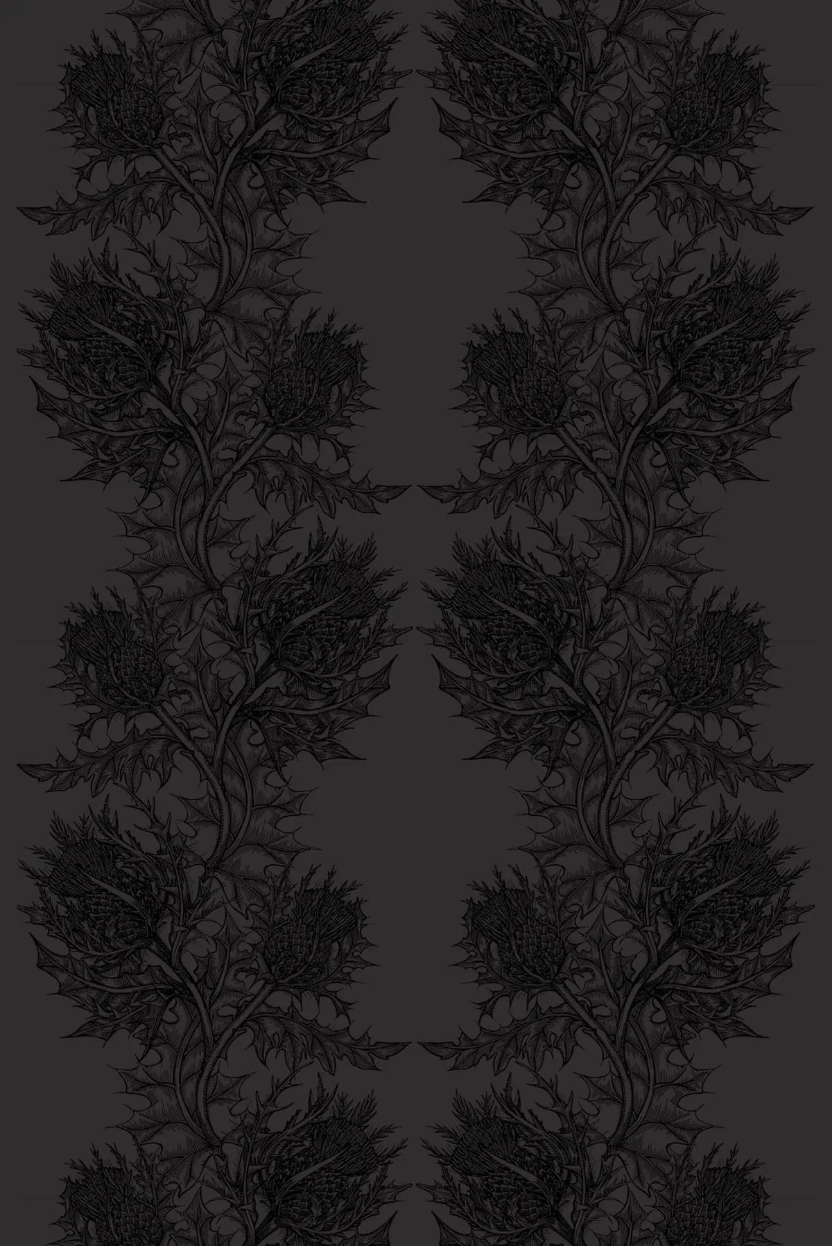 superwide thistle  wallpaper