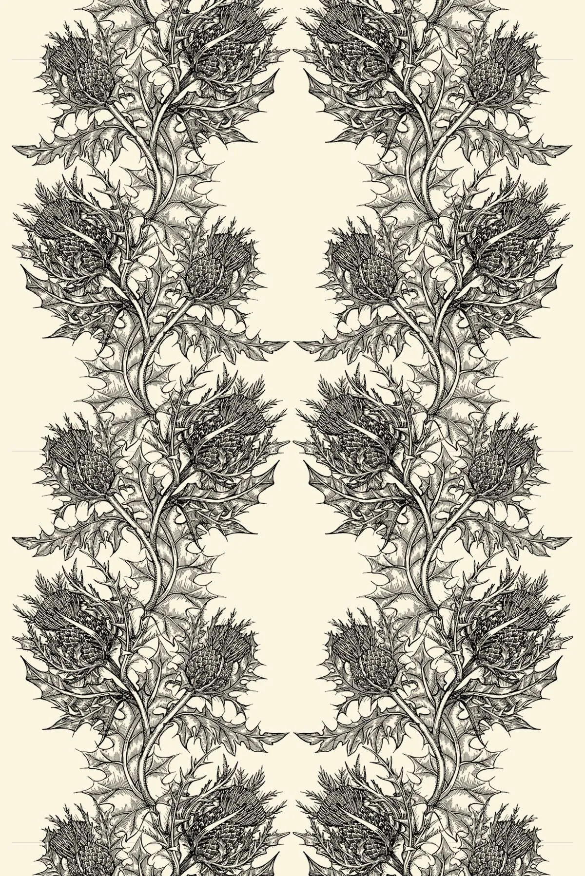 superwide thistle  wallpaper
