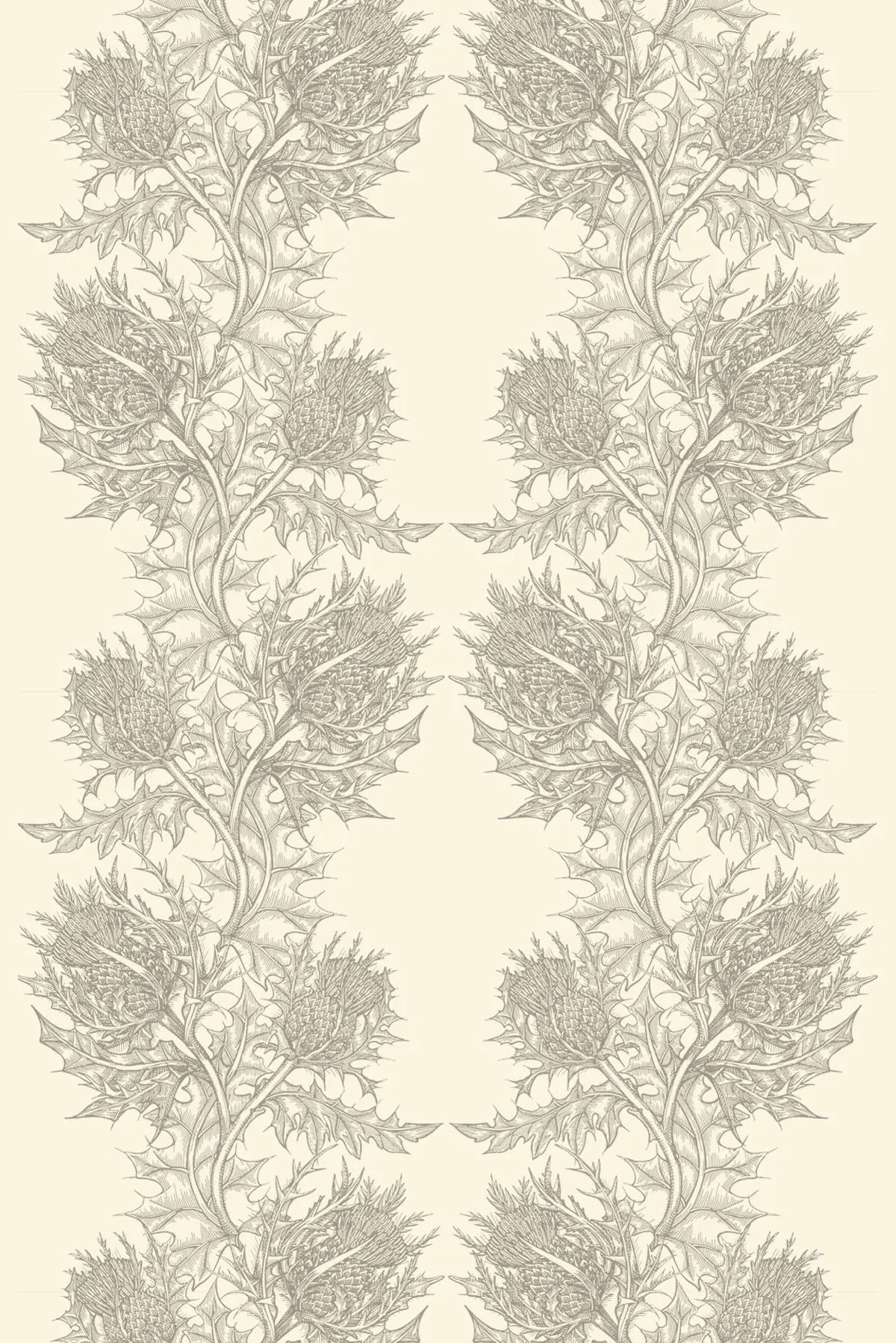 superwide thistle  wallpaper