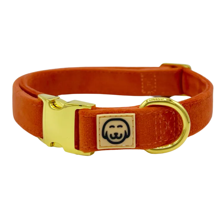 Tangerine Velvet - Dog Collar