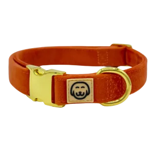 Tangerine Velvet - Dog Collar