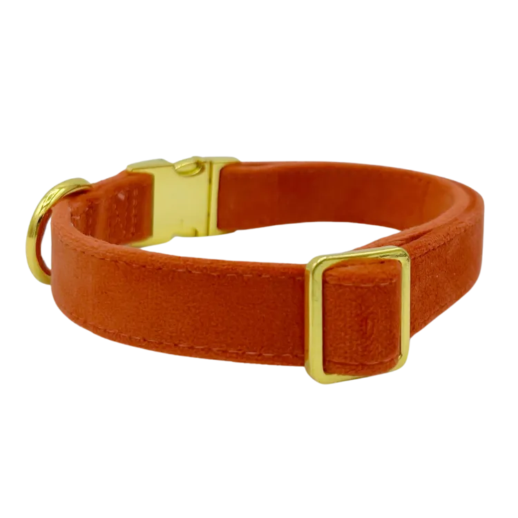 Tangerine Velvet - Dog Collar