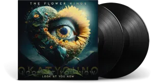 The Flower Kings : Look At You Now