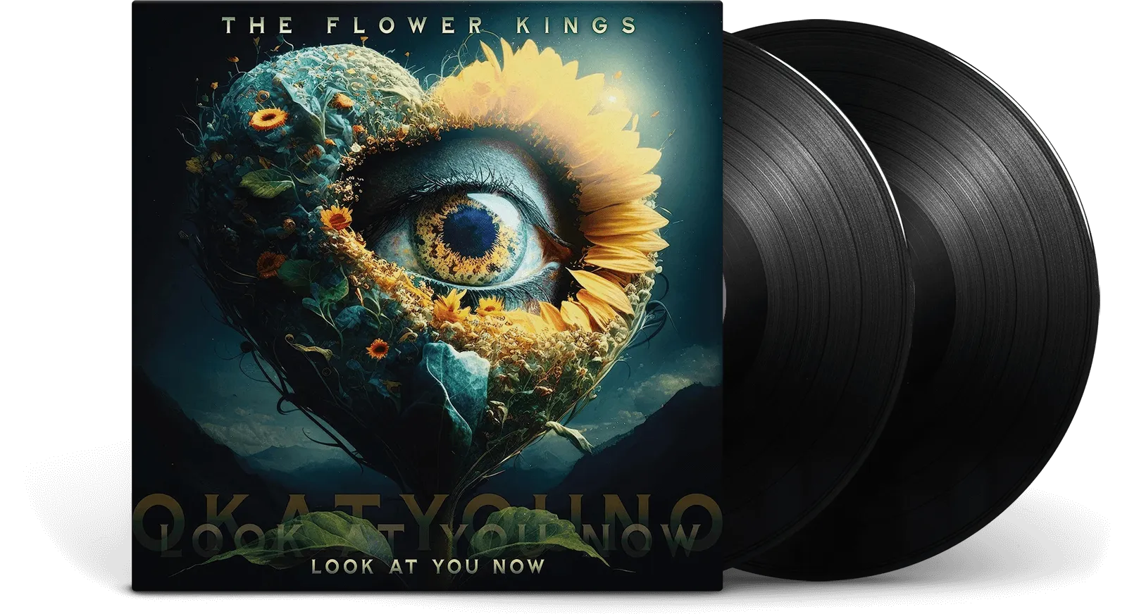 The Flower Kings : Look At You Now