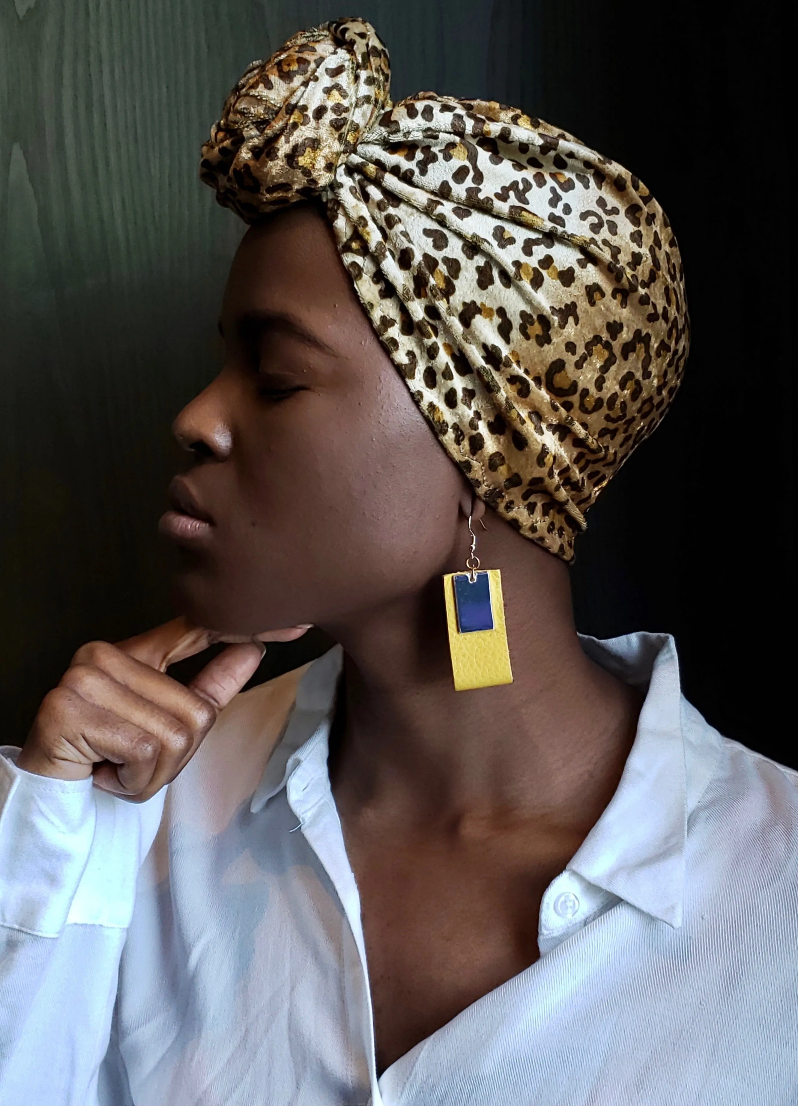 The Leopard Velvet Queen by Kim Hawthorne