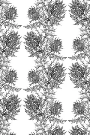 thistle wallpaper