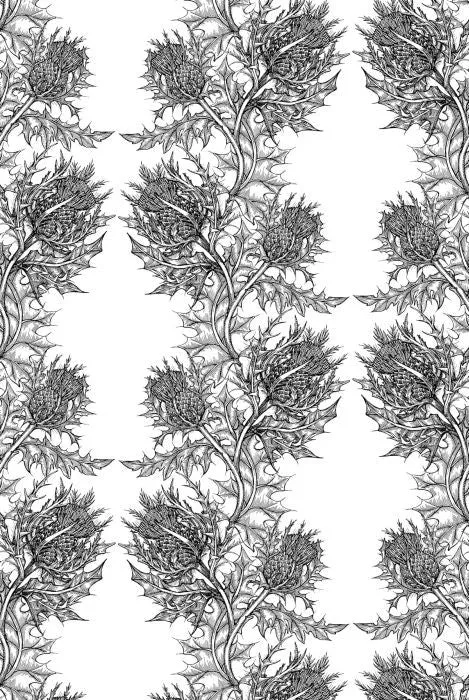 thistle wallpaper
