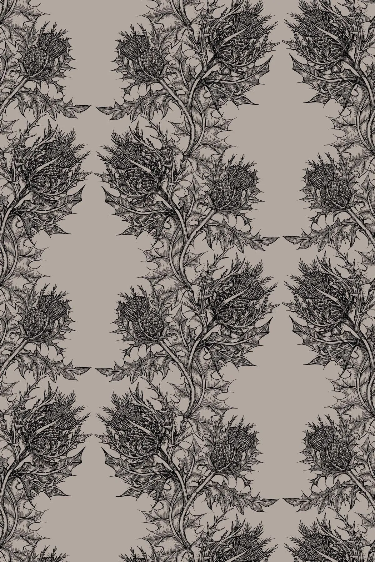 thistle wallpaper