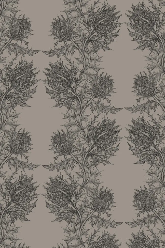 thistle wallpaper