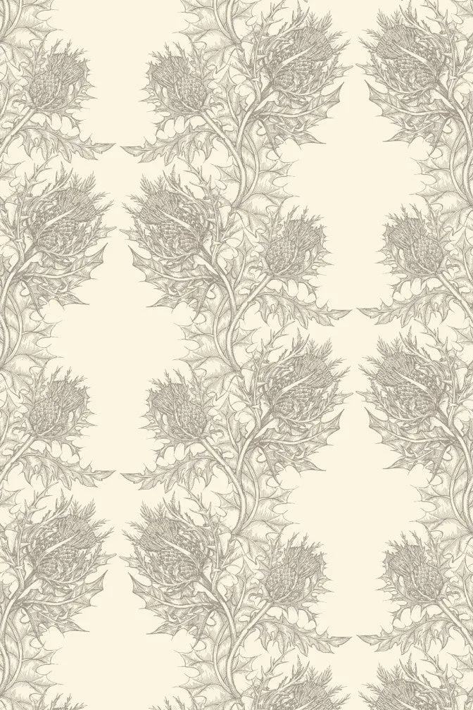 thistle wallpaper