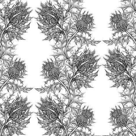 thistle wallpaper
