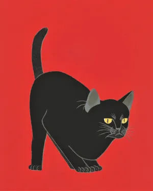 Un Petit Chat Noir