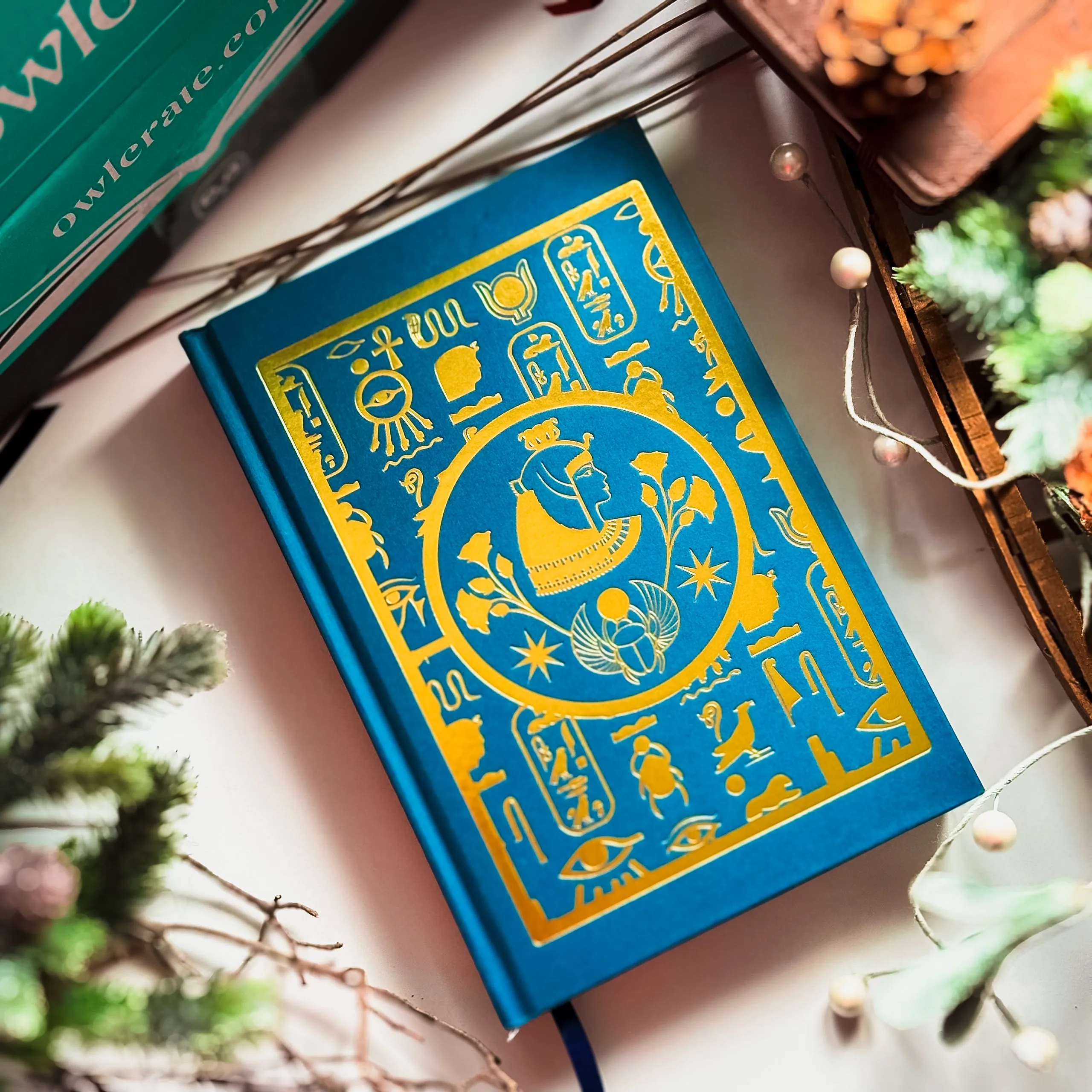 What the River Knows (Exclusive OwlCrate Edition)
