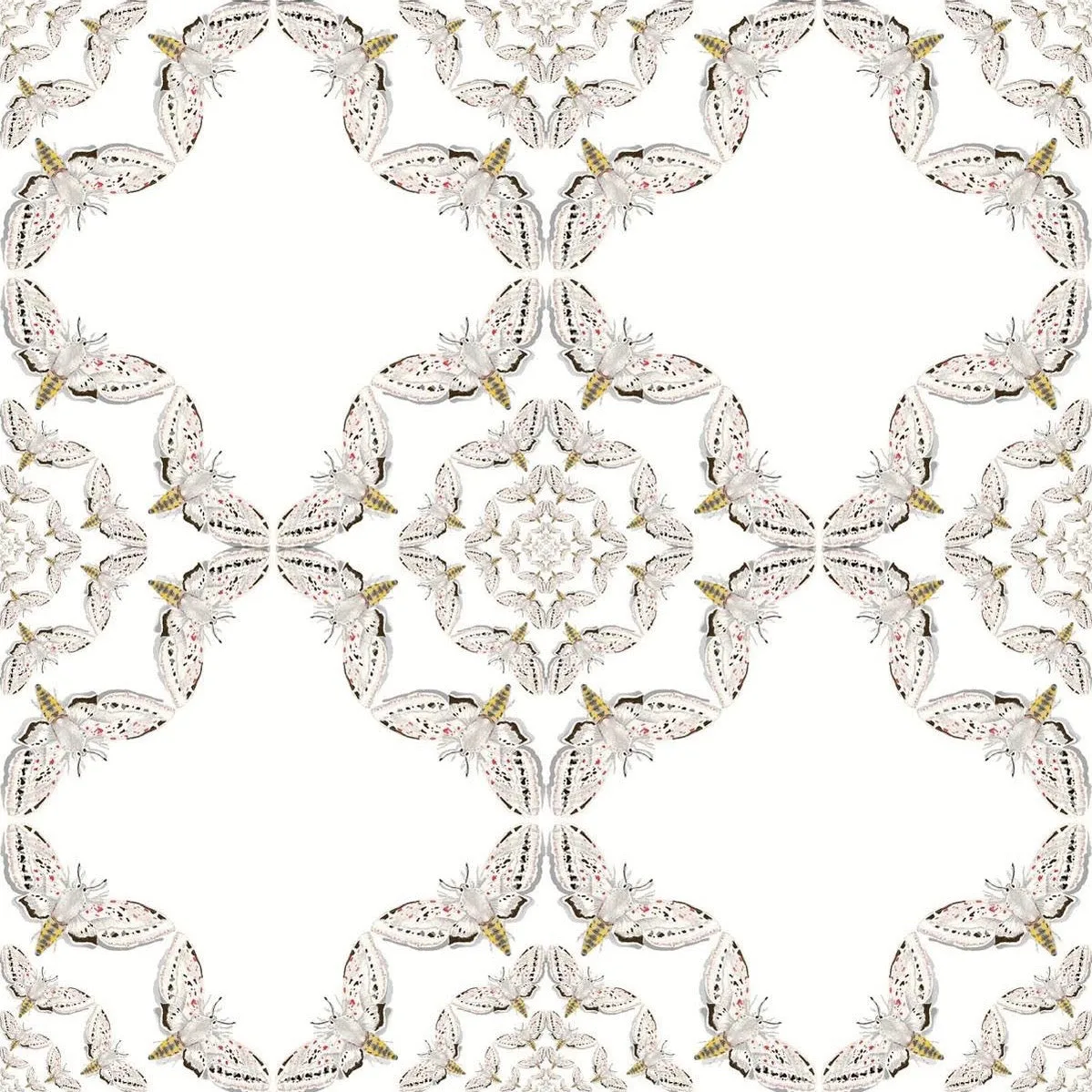 white moth circle wallpaper