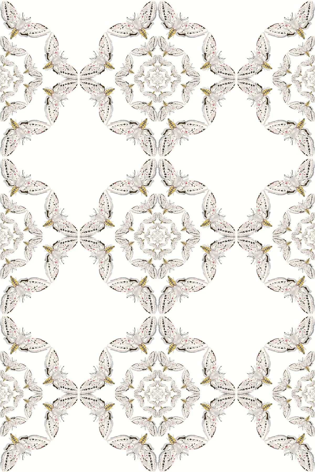 white moth circle wallpaper