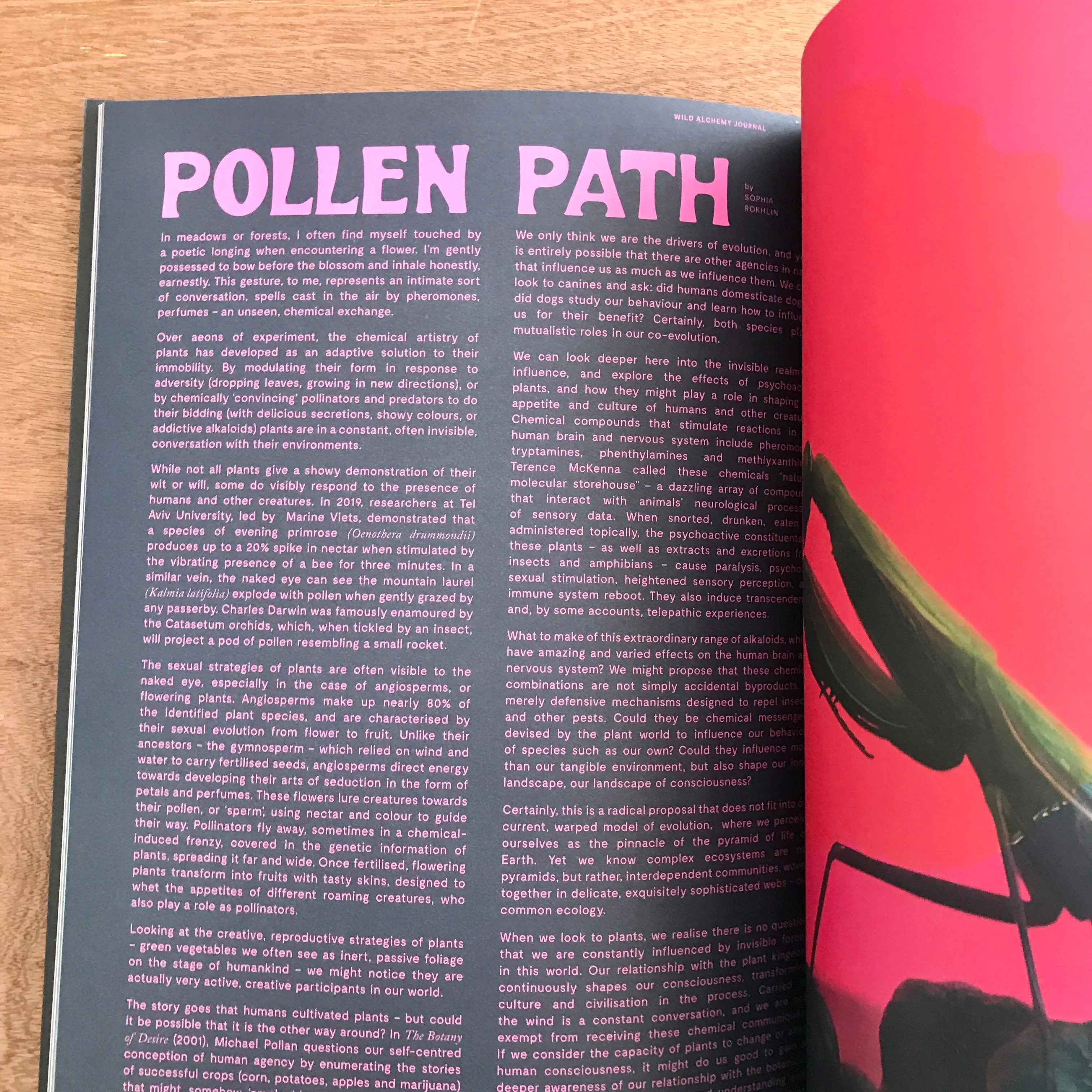 Wild Alchemy Journal - Air Edition