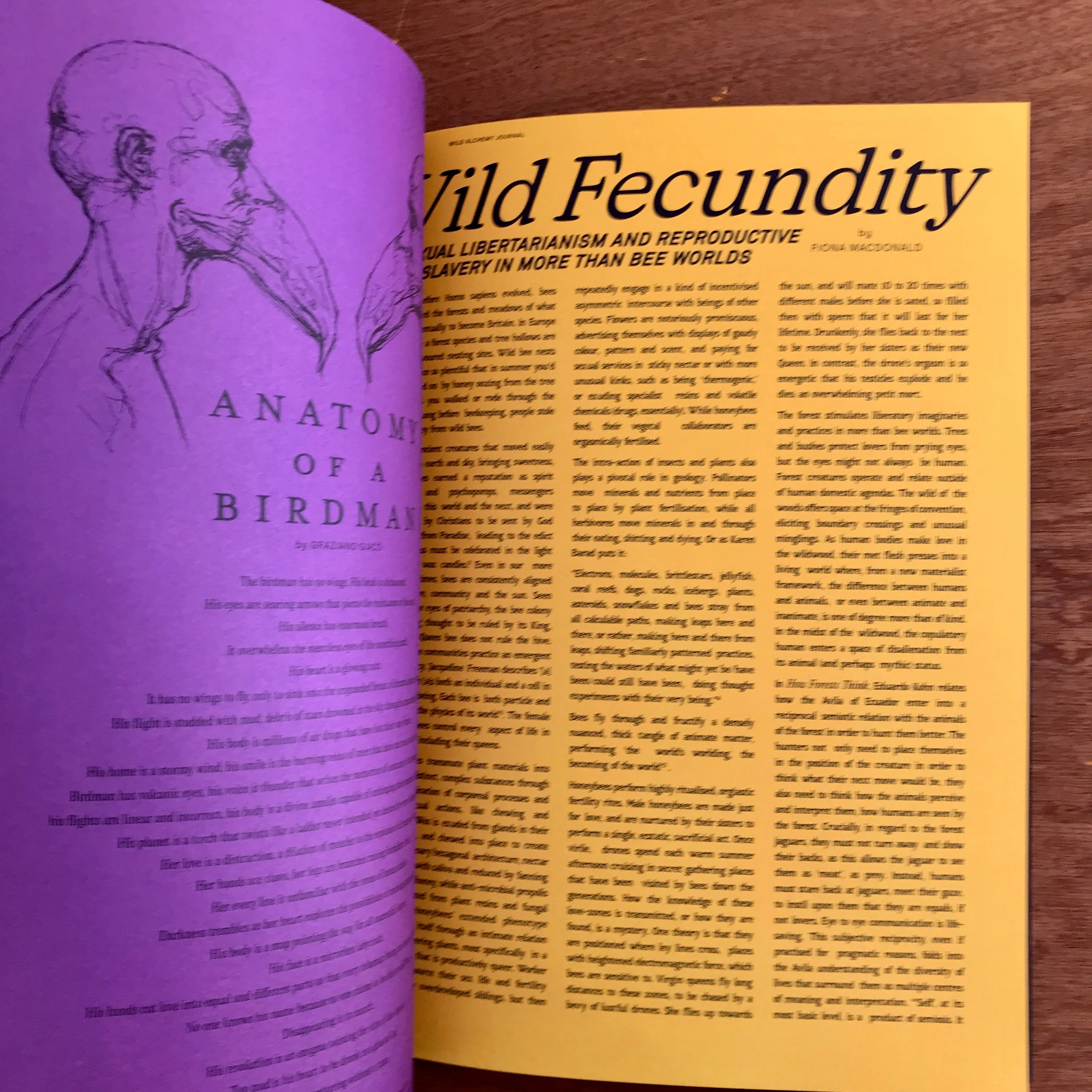 Wild Alchemy Journal - Air Edition
